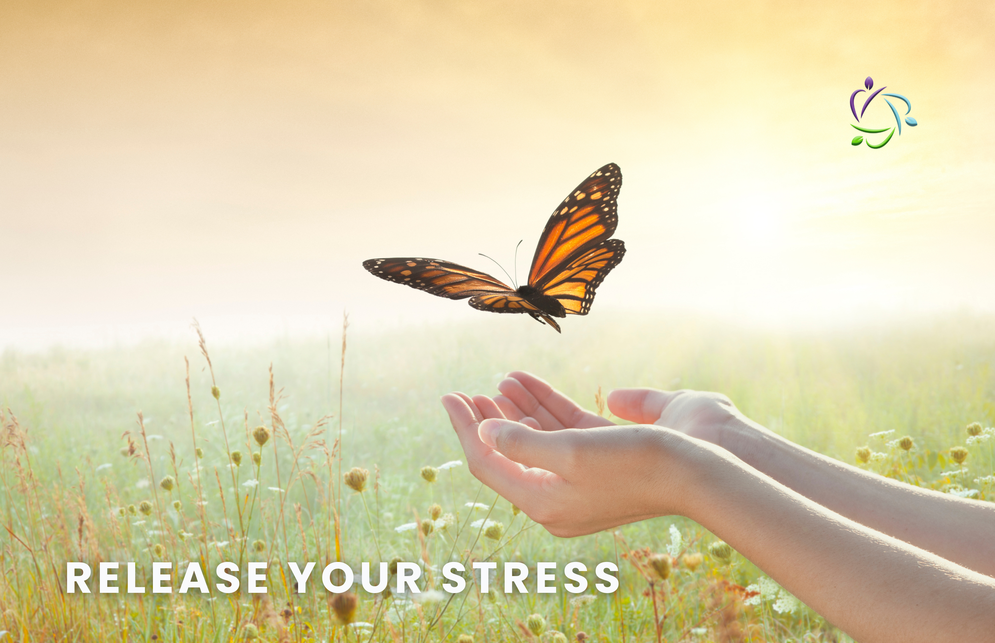 Release Your Stress, Enhance Your Life: A Holistic Guide to Stress Relief